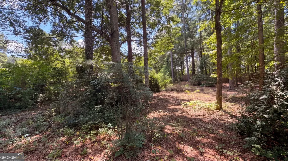 115 Emerald LN Hampton, GA 30228