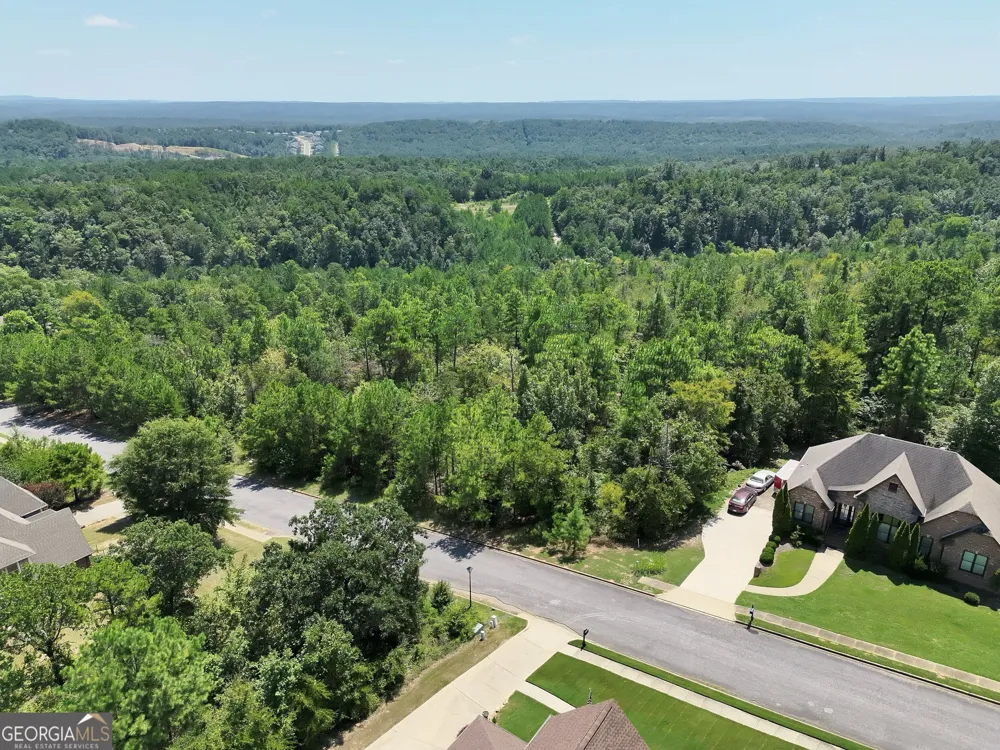 1020 Sterling Lakes CIR Helena, AL 35022