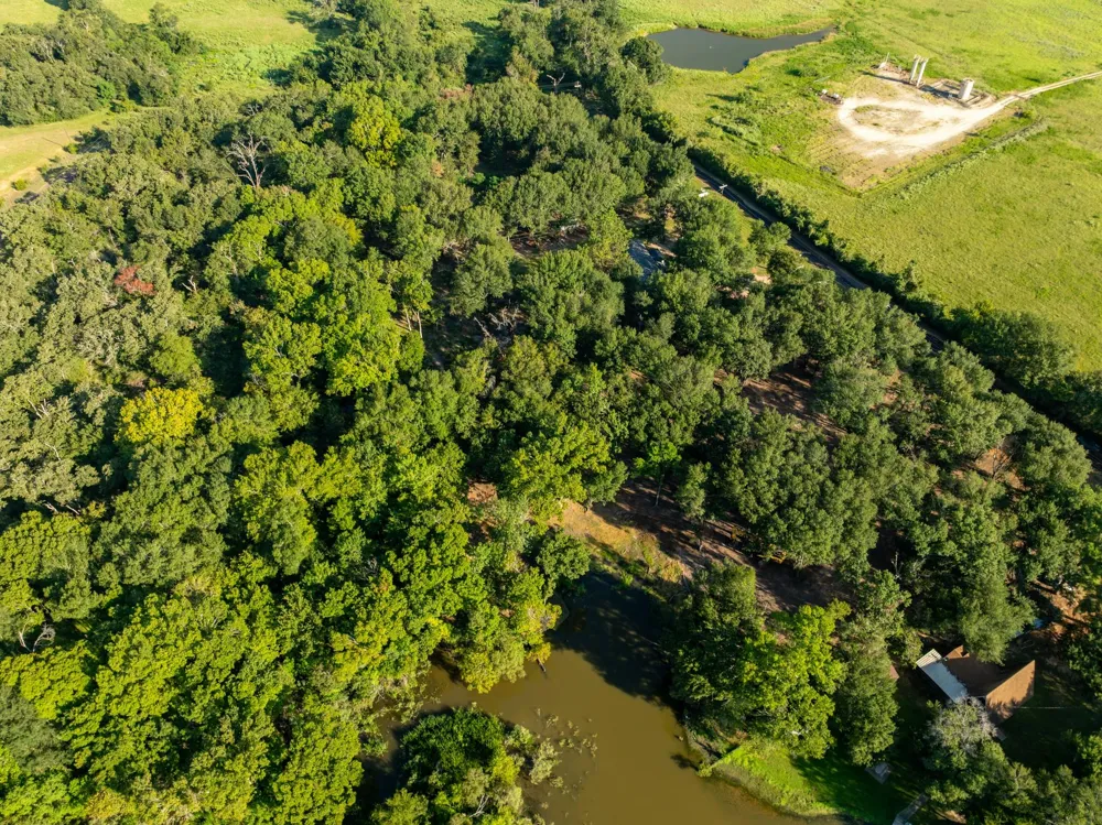 County Road 750 Thornton, TX 76687