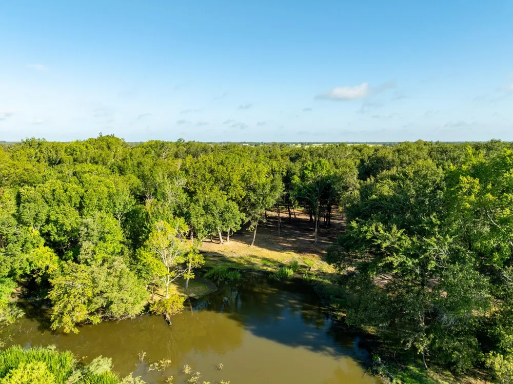 County Road 750 Thornton, TX 76687