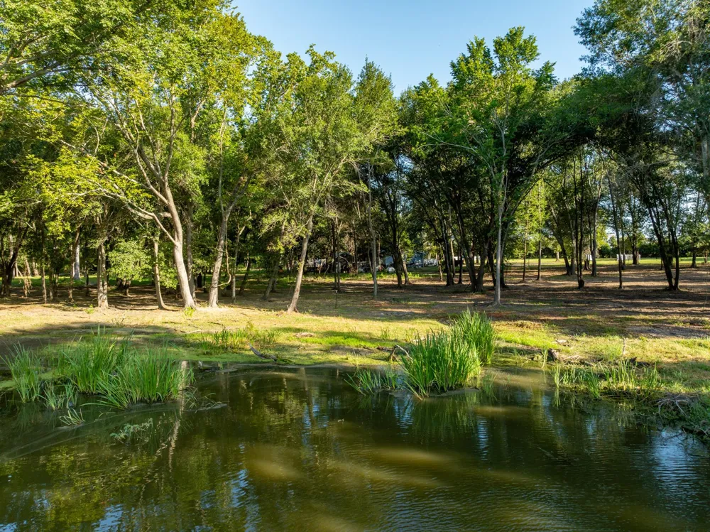 County Road 750 Thornton, TX 76687