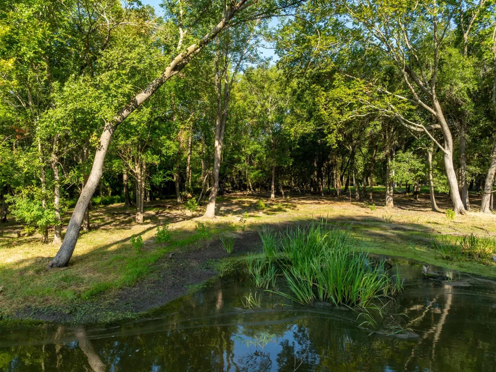 County Road 750 Thornton, TX 76687