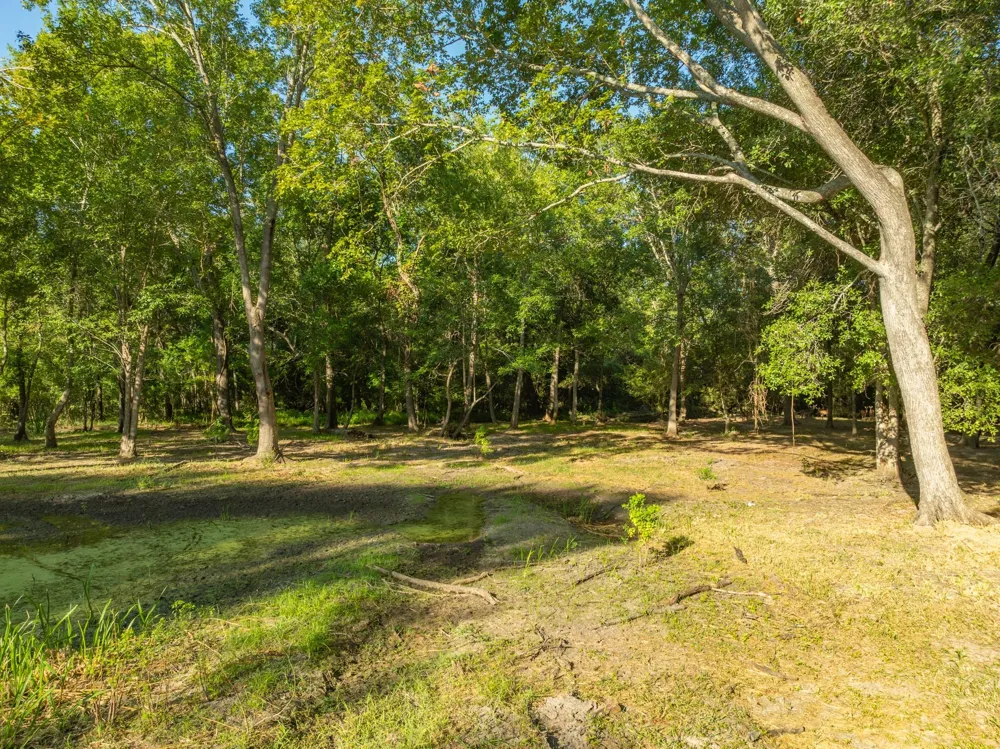 County Road 750 Thornton, TX 76687
