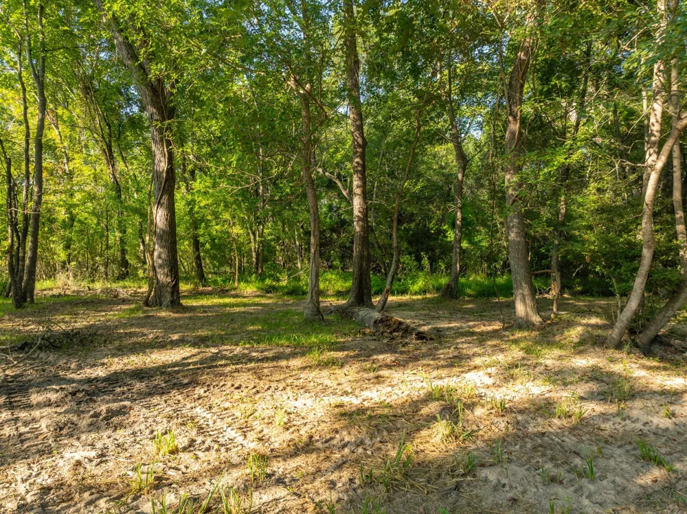 County Road 750 Thornton, TX 76687