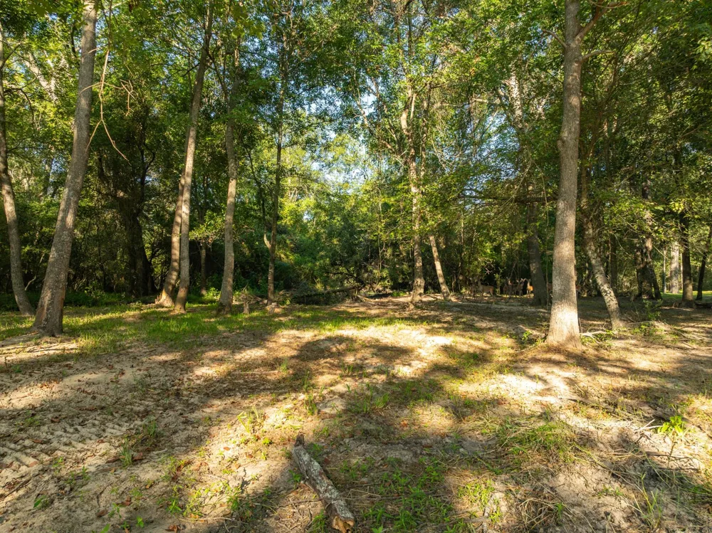 County Road 750 Thornton, TX 76687