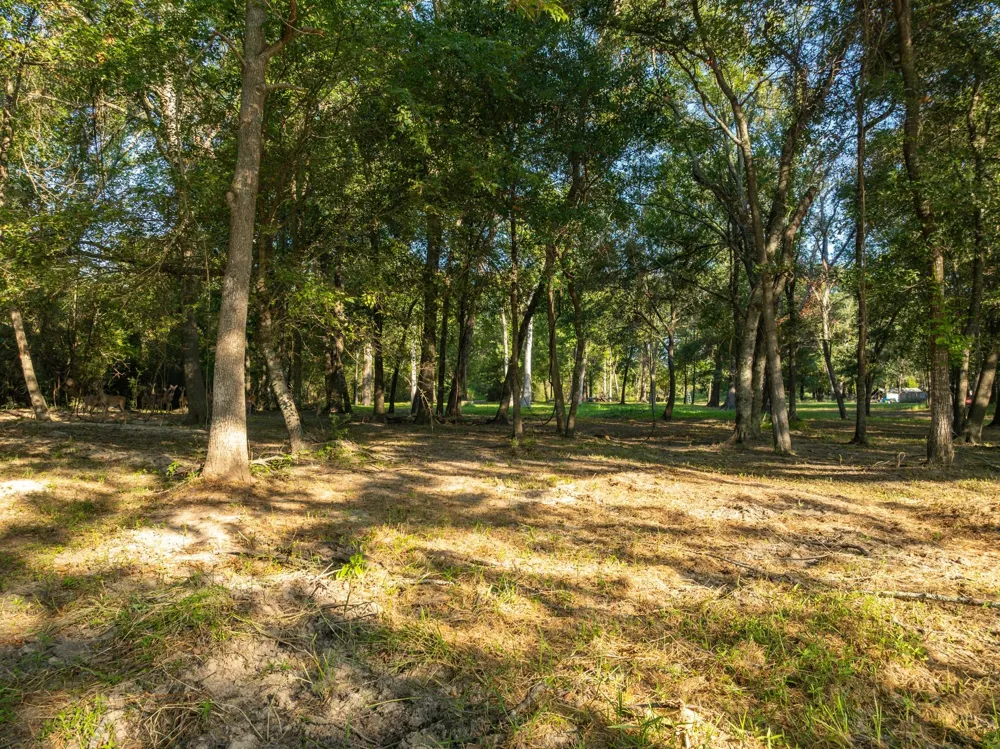 County Road 750 Thornton, TX 76687