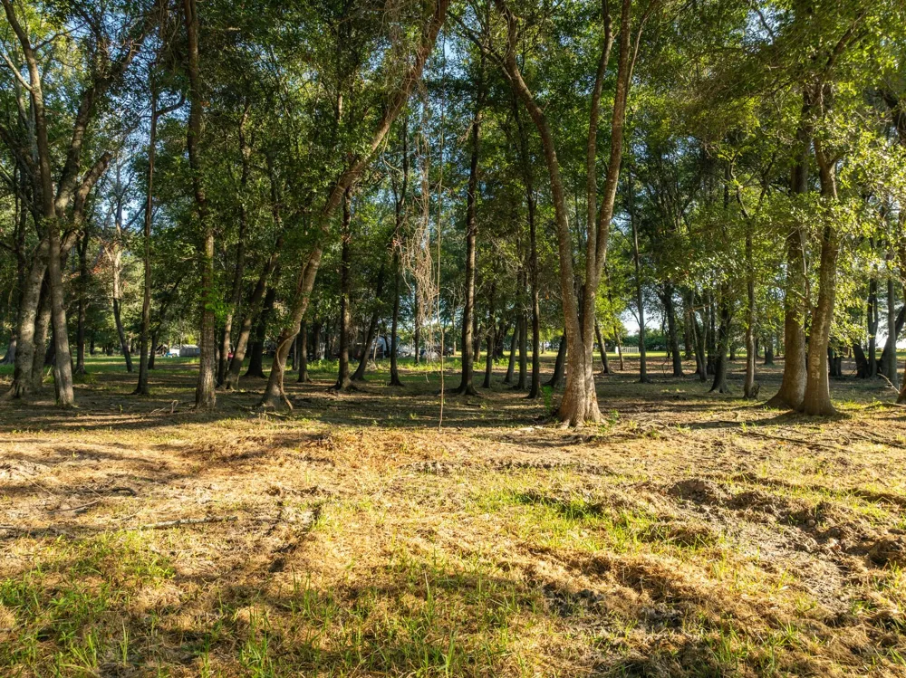County Road 750 Thornton, TX 76687