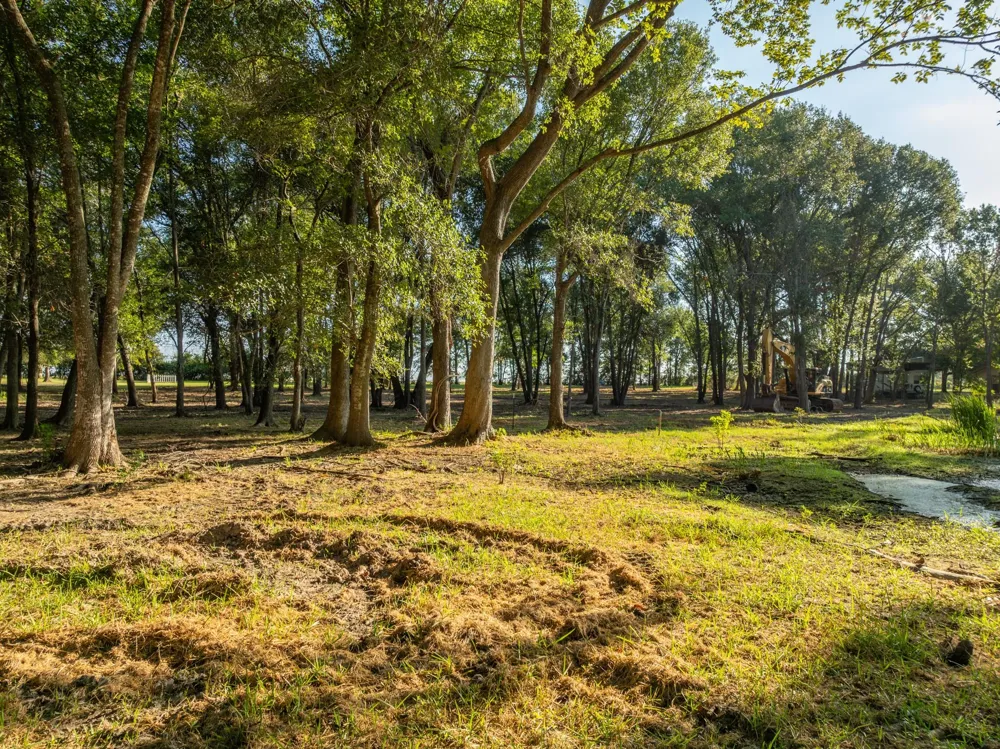 County Road 750 Thornton, TX 76687