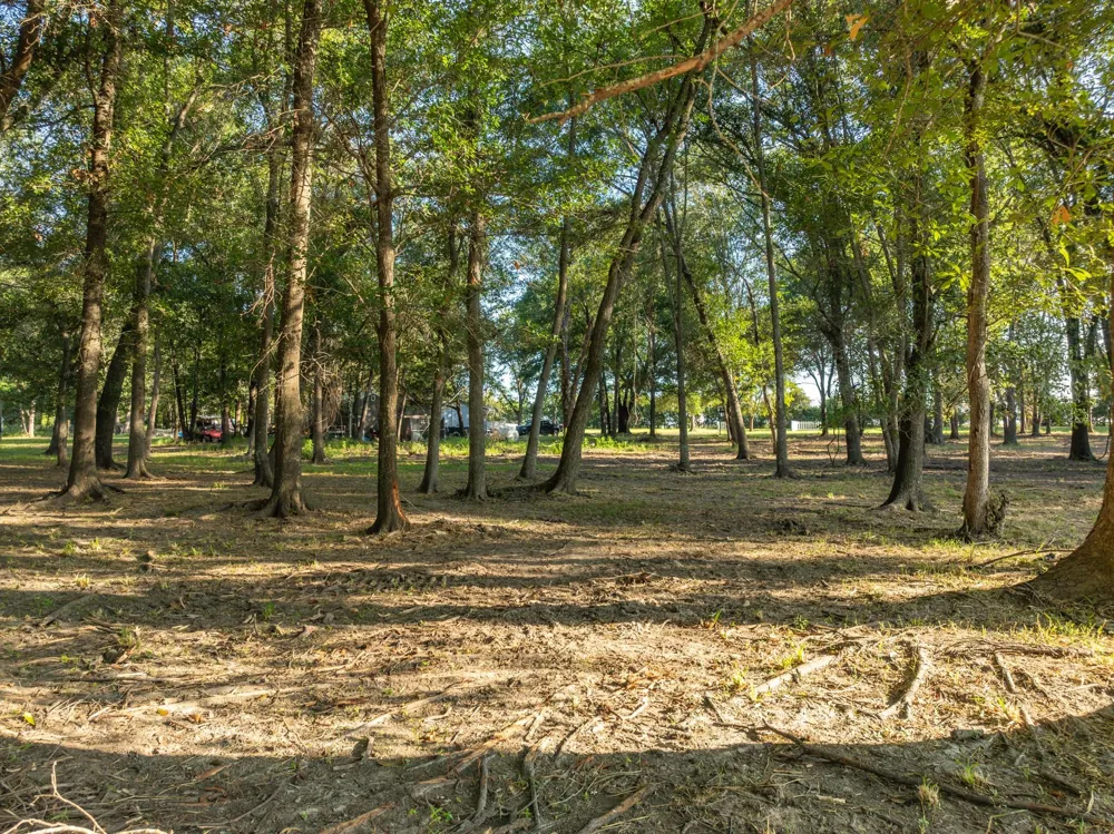County Road 750 Thornton, TX 76687