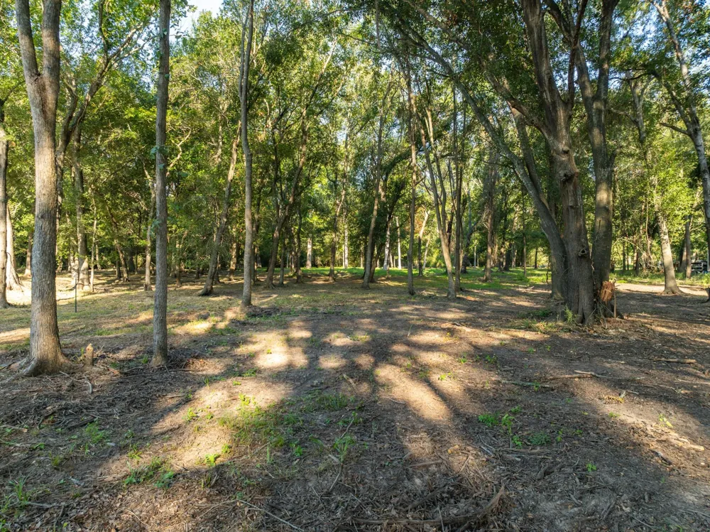 County Road 750 Thornton, TX 76687