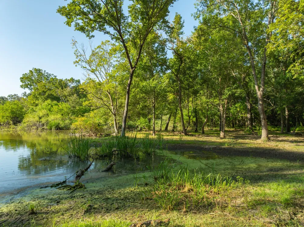 County Road 750 Thornton, TX 76687