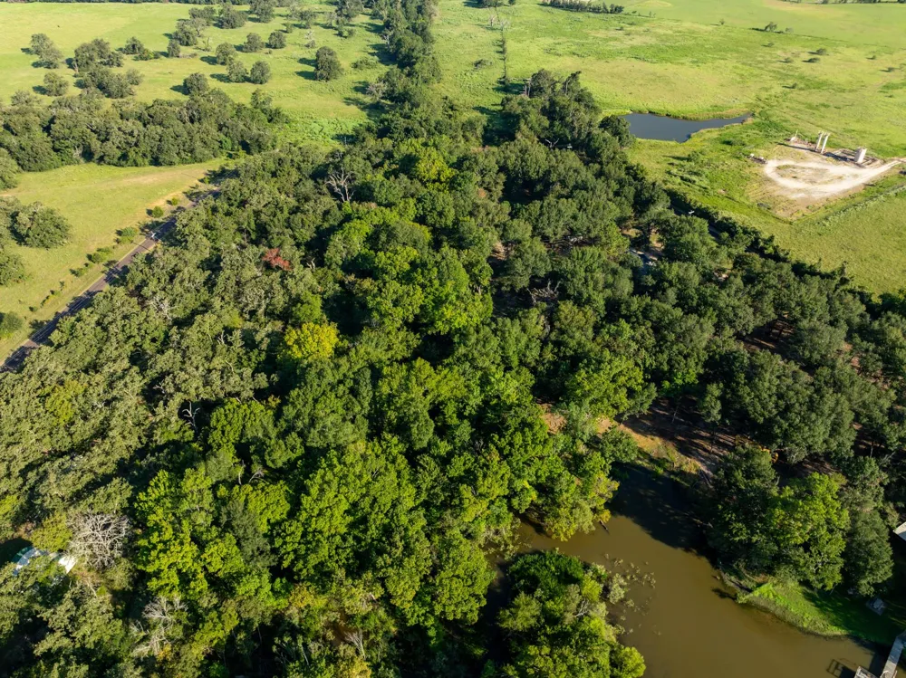 County Road 750 Thornton, TX 76687