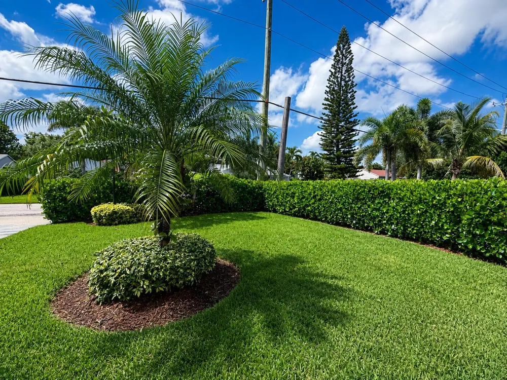 821 Hampton Road West Palm Beach, FL 33405