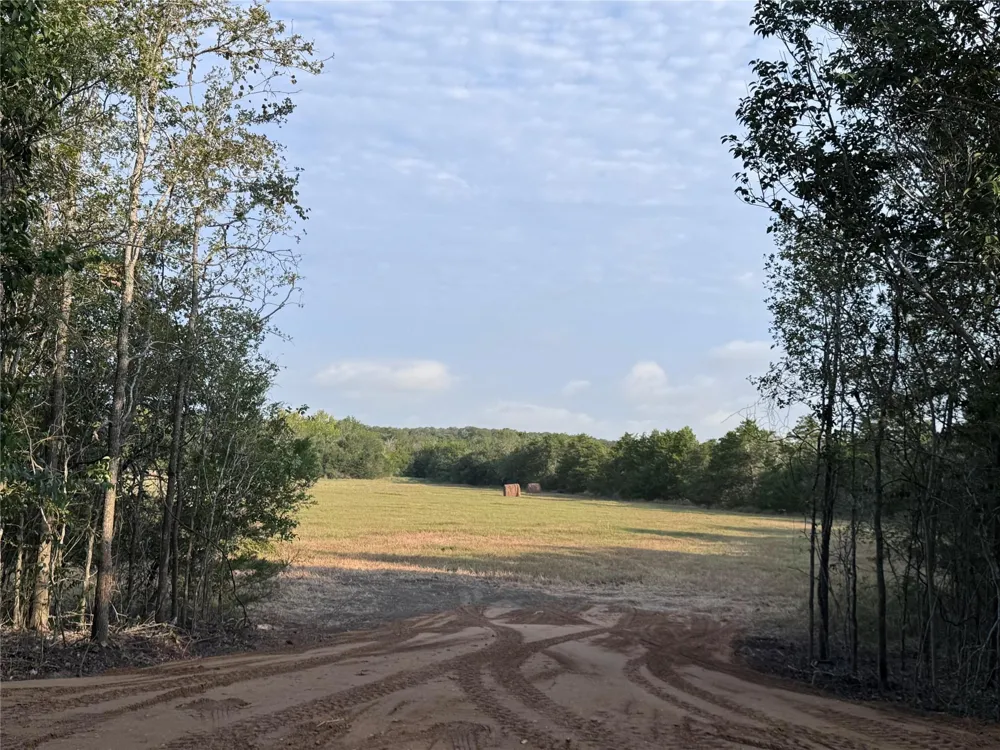3391 Ruether Road La Grange, TX 78945