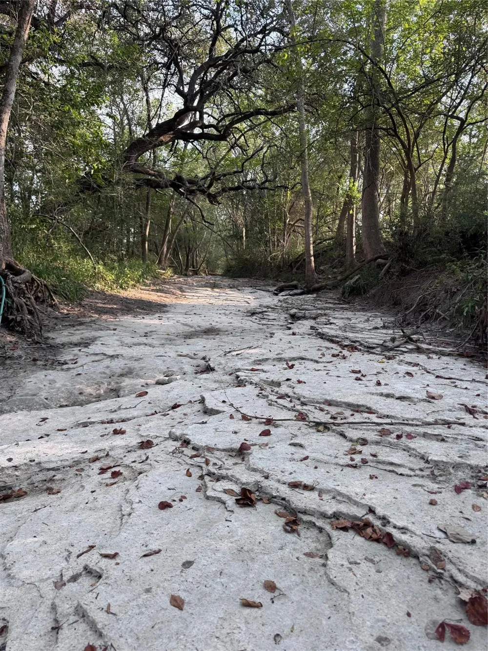3391 Ruether Road La Grange, TX 78945