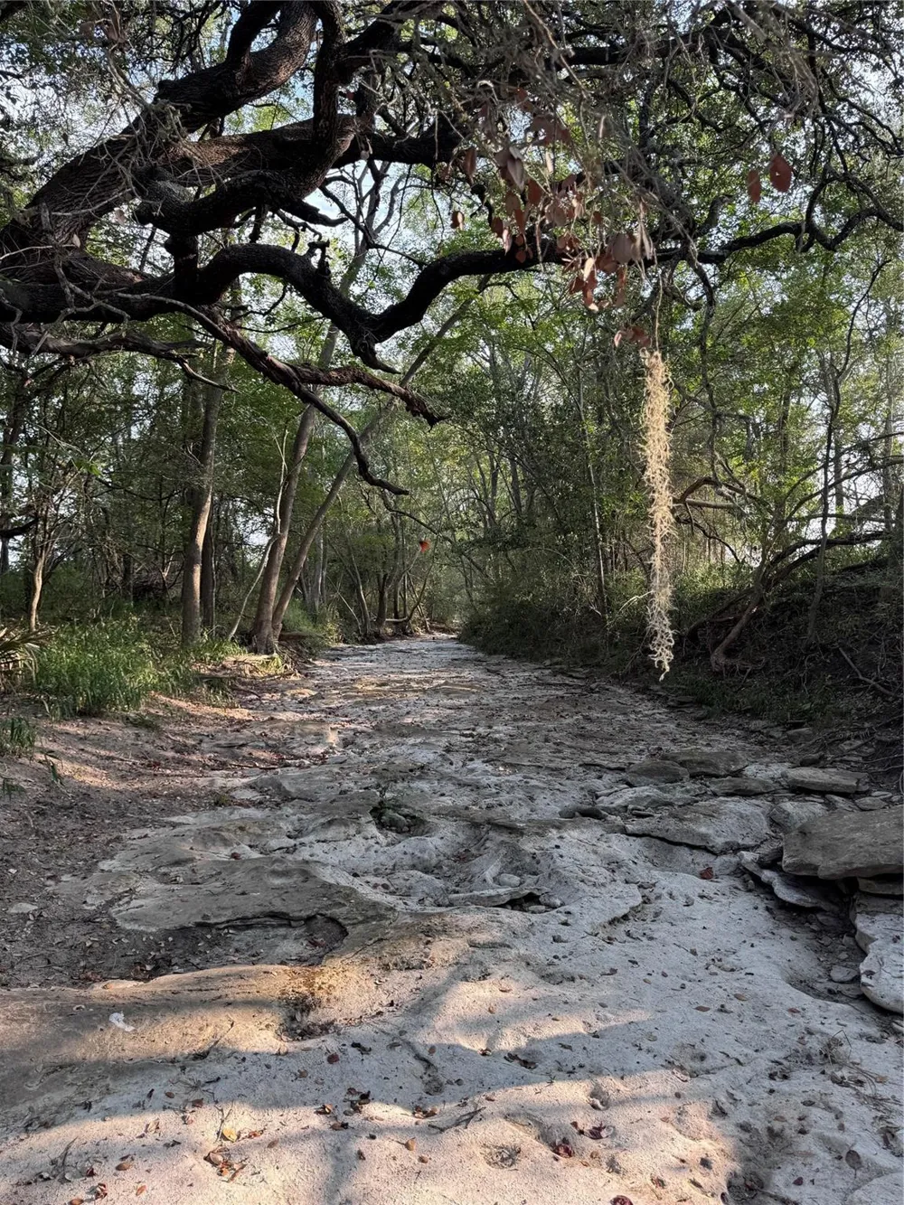 3391 Ruether Road La Grange, TX 78945