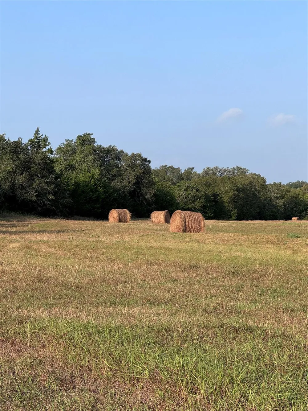 3391 Ruether Road La Grange, TX 78945