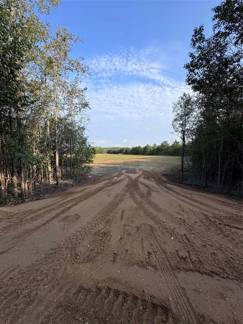 3391 Ruether Road La Grange, TX 78945
