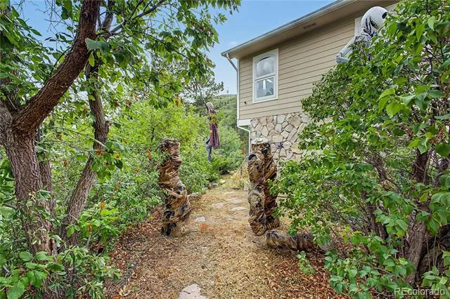 395 Dawson Court Castle Rock, CO 80104