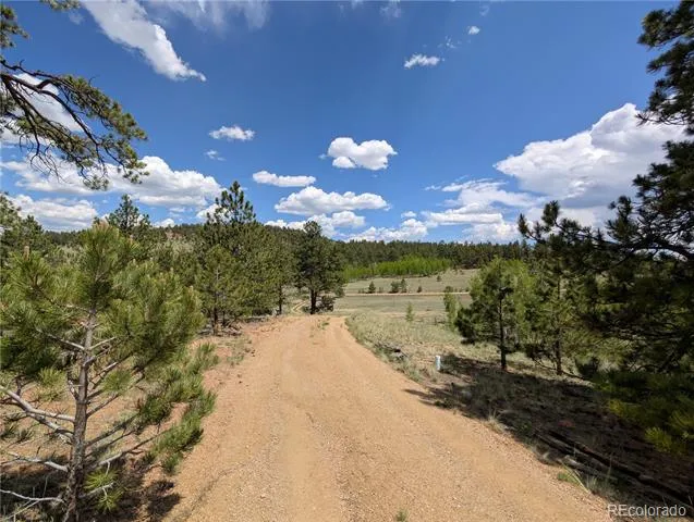2117 Badger Creek Road Hartsel, CO 80449
