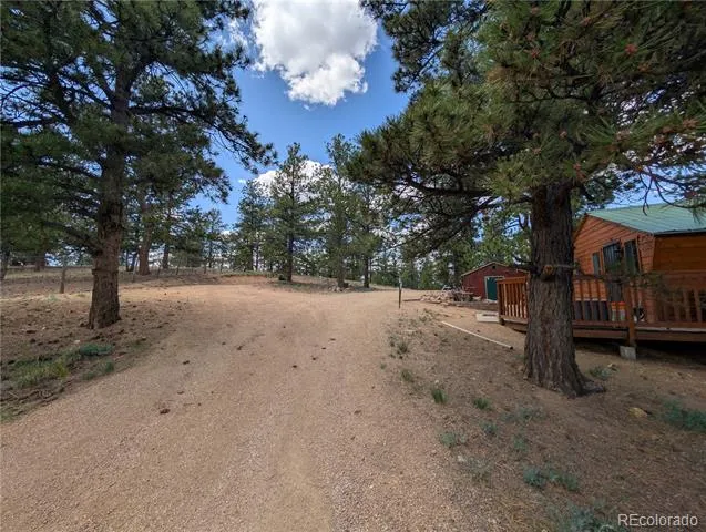 2117 Badger Creek Road Hartsel, CO 80449