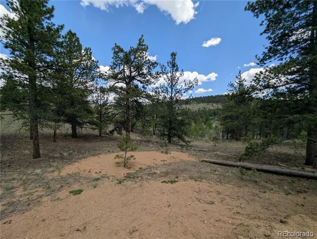 2117 Badger Creek Road Hartsel, CO 80449