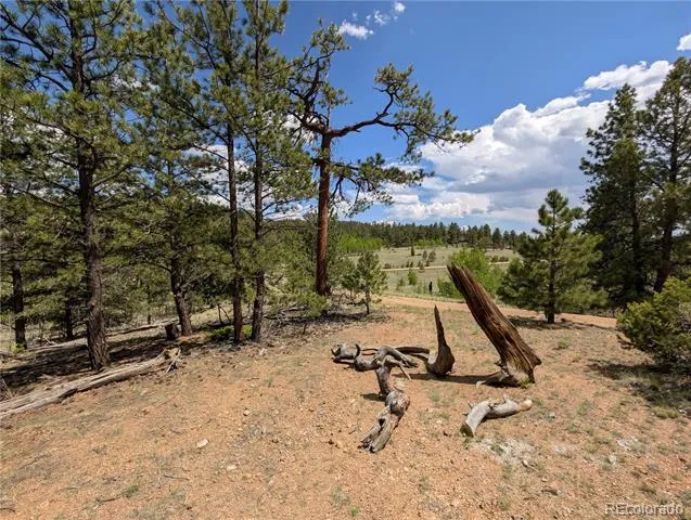 2117 Badger Creek Road Hartsel, CO 80449