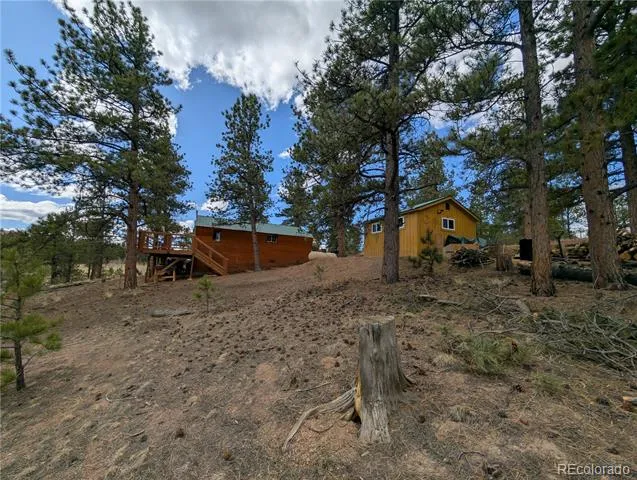 2117 Badger Creek Road Hartsel, CO 80449