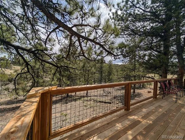 2117 Badger Creek Road Hartsel, CO 80449