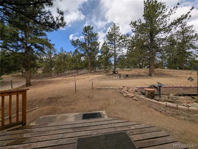2117 Badger Creek Road Hartsel, CO 80449