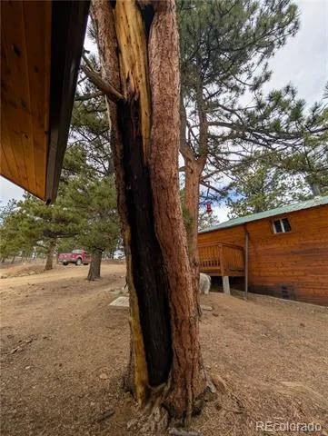 2117 Badger Creek Road Hartsel, CO 80449