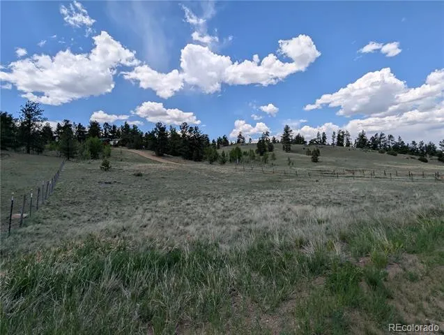 2117 Badger Creek Road Hartsel, CO 80449