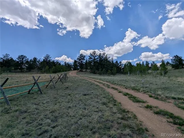 2117 Badger Creek Road Hartsel, CO 80449