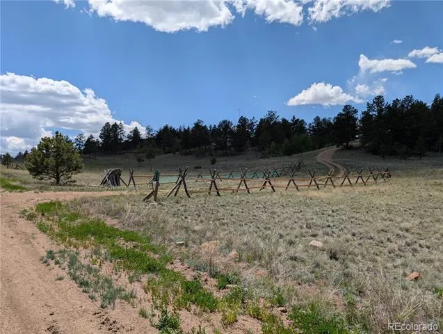 2117 Badger Creek Road Hartsel, CO 80449