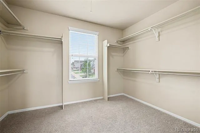 3603 Amber Sun Circle Castle Rock, CO 80108