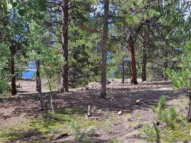 142 La Plata Peak Drive Twin Lakes, CO 81251