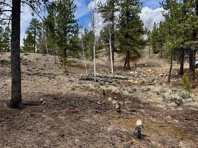 142 La Plata Peak Drive Twin Lakes, CO 81251