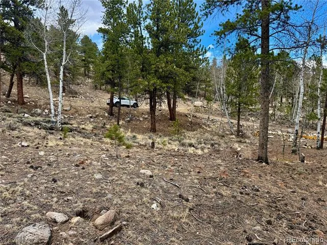142 La Plata Peak Drive Twin Lakes, CO 81251