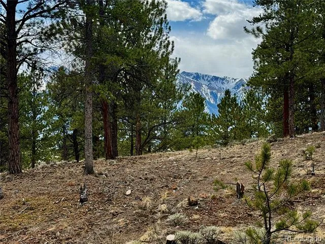 142 La Plata Peak Drive Twin Lakes, CO 81251