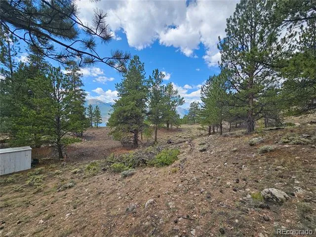 142 La Plata Peak Drive Twin Lakes, CO 81251