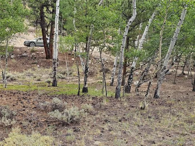 142 La Plata Peak Drive Twin Lakes, CO 81251