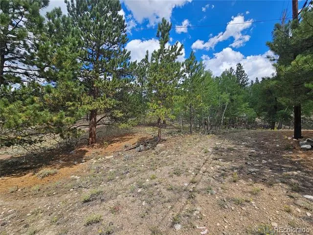 142 La Plata Peak Drive Twin Lakes, CO 81251