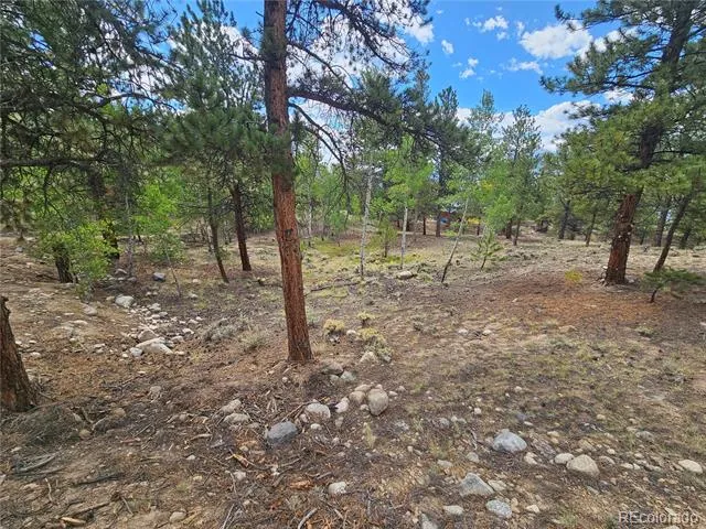 142 La Plata Peak Drive Twin Lakes, CO 81251