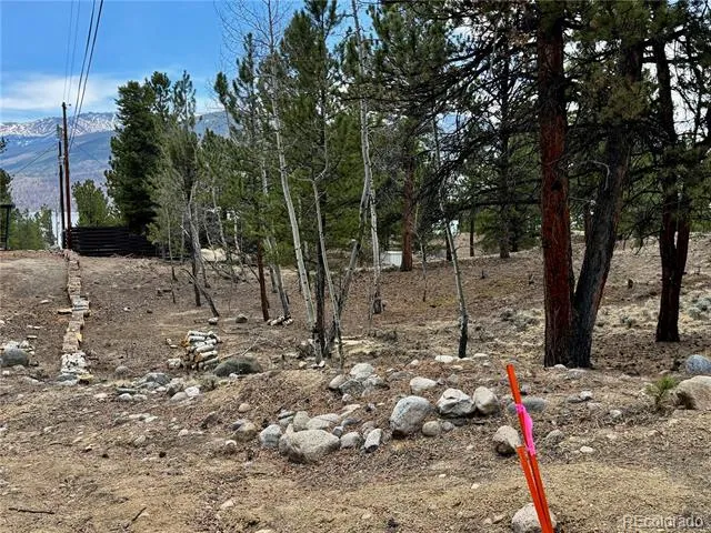142 La Plata Peak Drive Twin Lakes, CO 81251