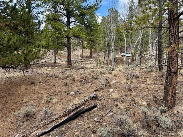 142 La Plata Peak Drive Twin Lakes, CO 81251