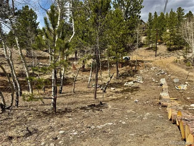 142 La Plata Peak Drive Twin Lakes, CO 81251
