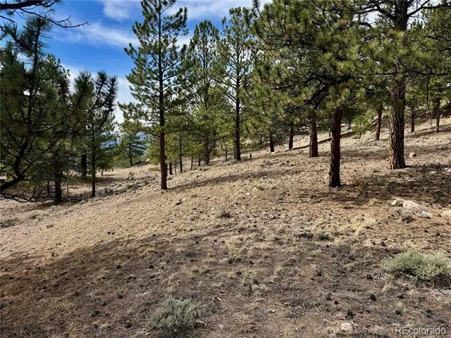142 La Plata Peak Drive Twin Lakes, CO 81251