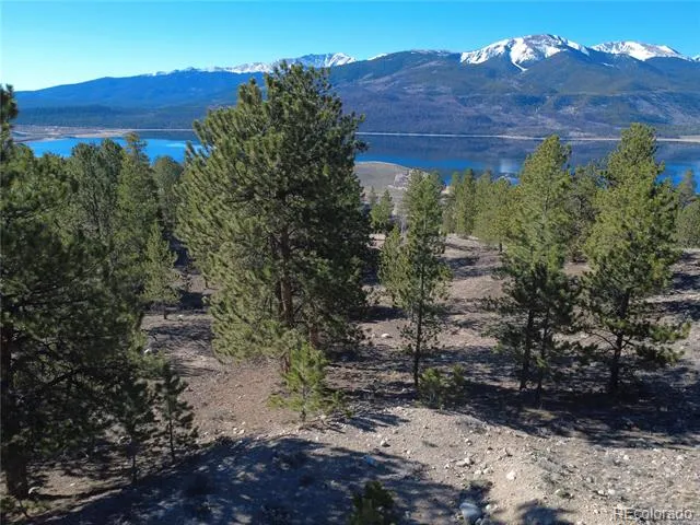 142 La Plata Peak Drive Twin Lakes, CO 81251