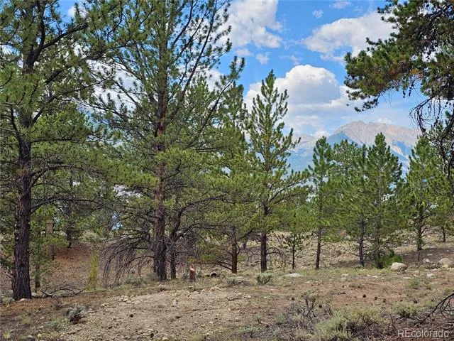 142 La Plata Peak Drive Twin Lakes, CO 81251