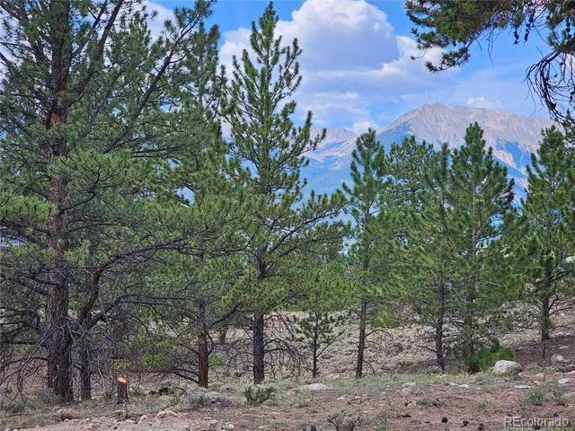 142 La Plata Peak Drive Twin Lakes, CO 81251